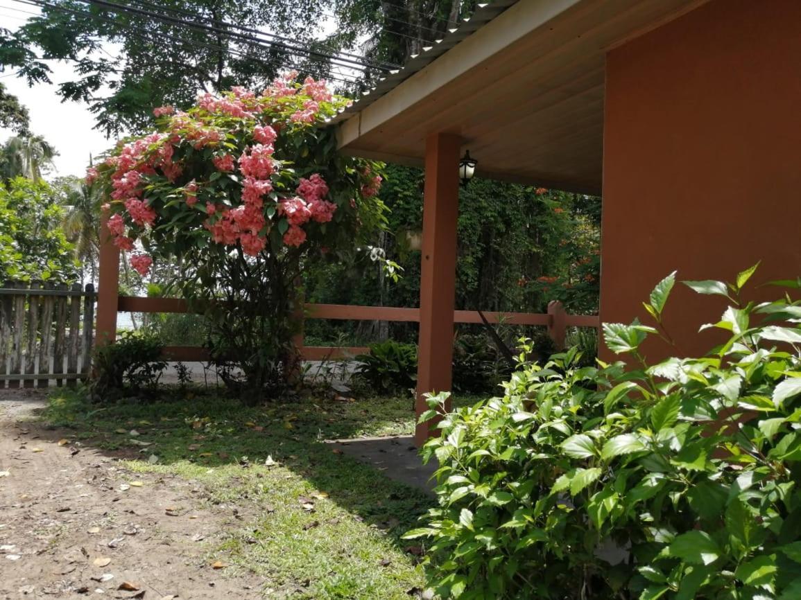 Cahuita Lodge Εξωτερικό φωτογραφία