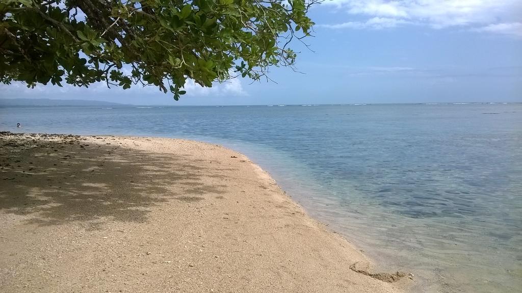 Cahuita Lodge Εξωτερικό φωτογραφία